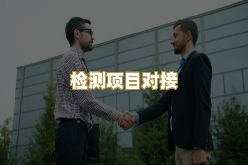 检测项目对接