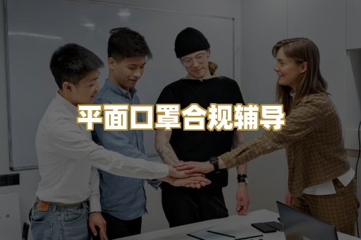 平面口罩合规辅导